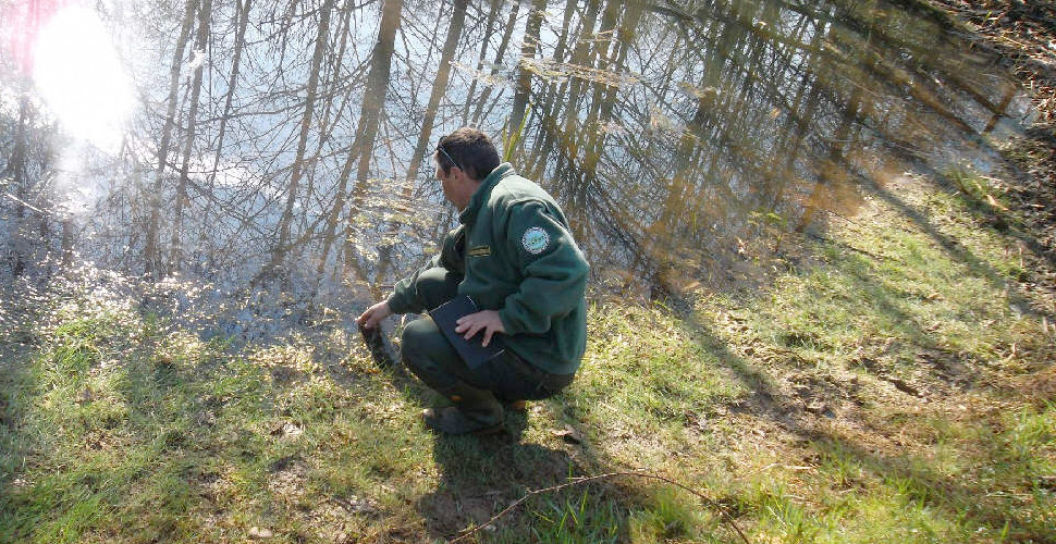 Vuoi diventare Guardia Ecologica Volontaria?